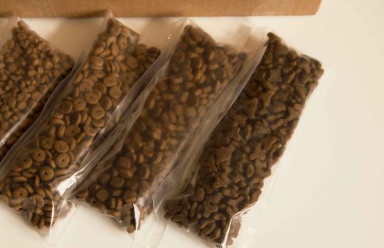 למה אוכל לחתולים באינטרנט עדיף על מזון לחתולים2